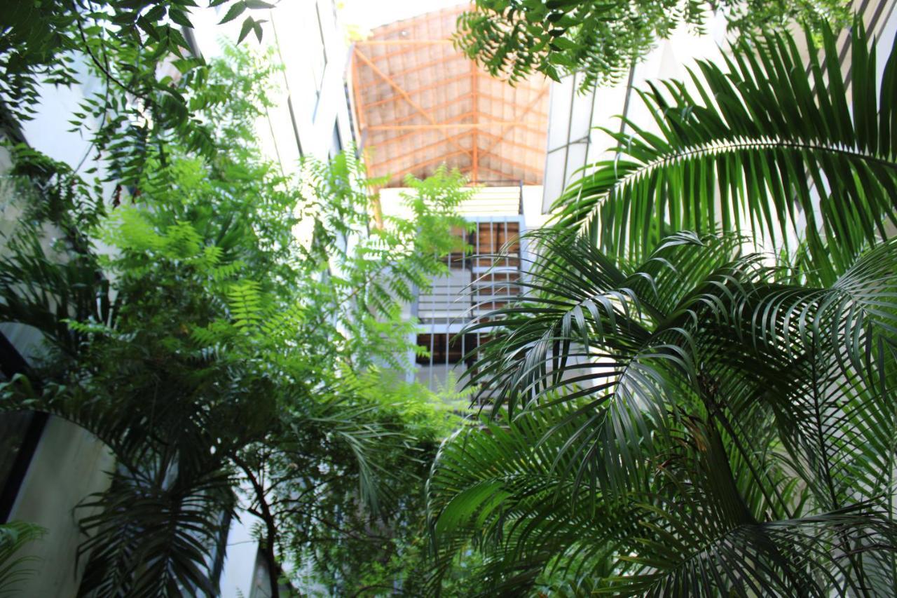 Hotel 52 ปลายาเดลการ์เมน ภายนอก รูปภาพ